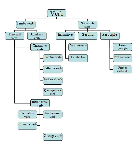 Types of verb