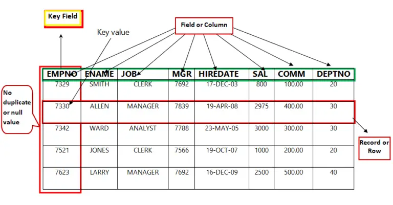 key-field-in-database-online-open-academy