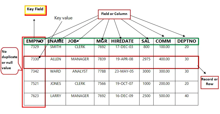 Key field