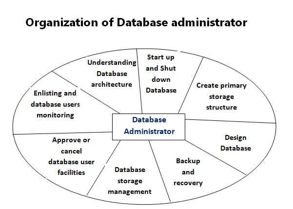 Database administrator