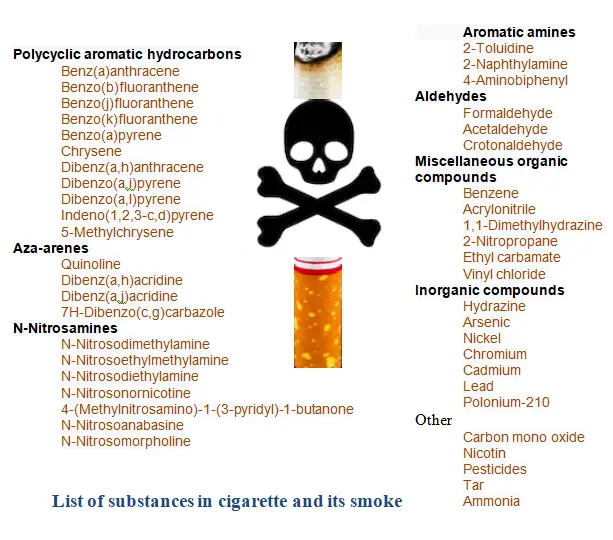 Dangers of smoking paragraph