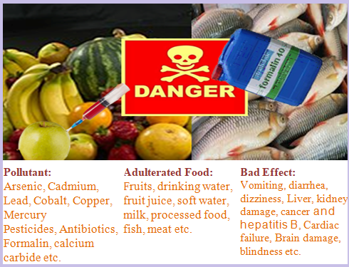 Paragraph on food adulteration