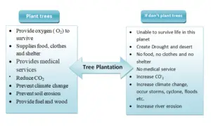 Importance of plantation in points image