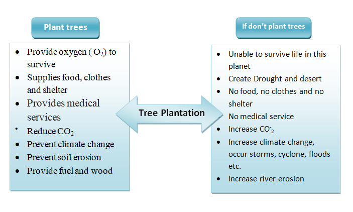 paragraph on importance of tree plantation