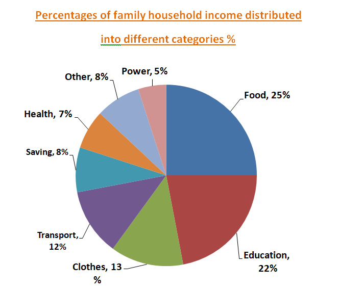 Pie chart showing the percentage of family’s expenditure