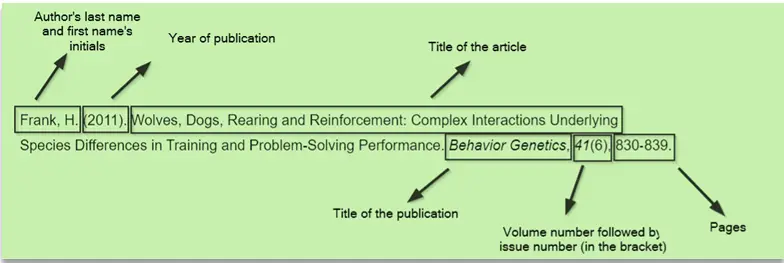 5 Necessary Elements of a Good Essay